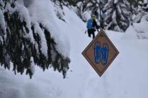 Signage along the route | © Azienda per Il Turismo Val di Sole