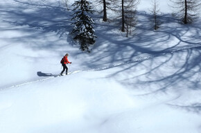 Ski mountaineering | © APT Fiemme Cembra