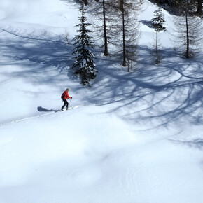Ski mountaineering | © APT Fiemme Cembra