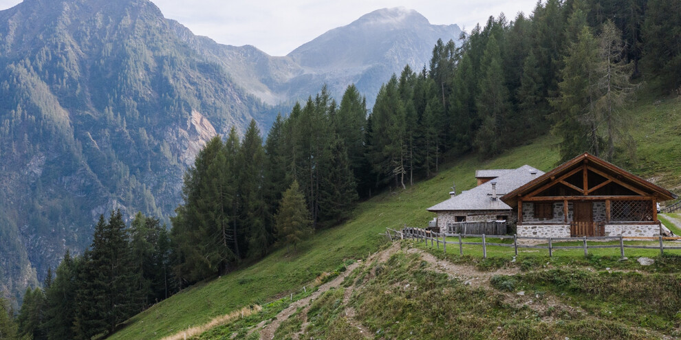 Malga Polinar | © APT Valli di Sole, Peio e Rabbi