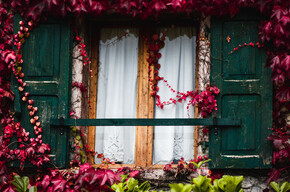 Moline | © APT Dolomiti di Brenta e Paganella