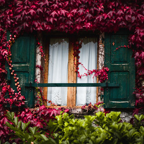 Moline | © APT Dolomiti di Brenta e Paganella