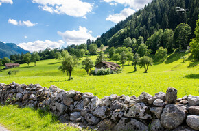 Piana di Caderzone | © Madonna di Campiglio Azienda per il Turismo 