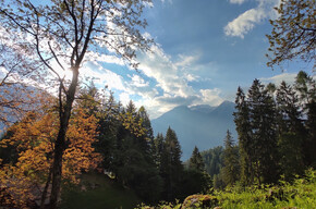 Forest | © Madonna di Campiglio Azienda per il Turismo 