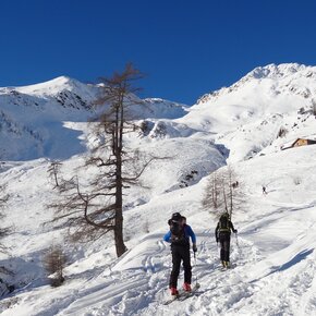 In vista di malga Mazara | © VisitTrentino