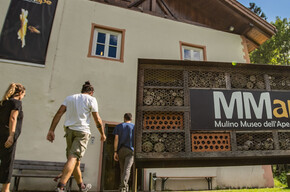 Mmape | © APT Valli di Sole, Peio e Rabbi