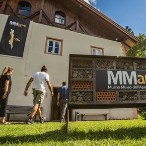 Mmape | © APT Valli di Sole, Peio e Rabbi