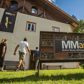 Mmape | © APT Valli di Sole, Peio e Rabbi