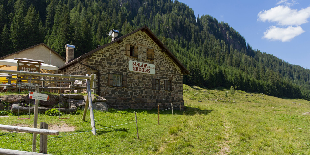 Malga (Dairy) Sadole | © APT Val di Fiemme