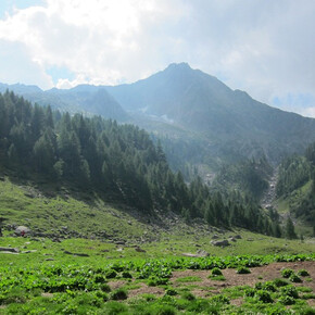 Malga Gelo | © TRACCIAtour srl