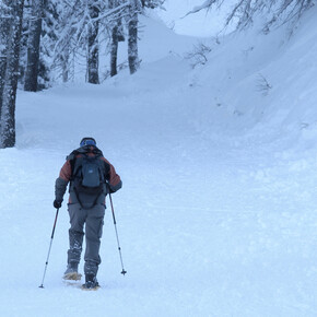Snowshoe route - Passo 5 Croci | © APT Valsugana e Lagorai