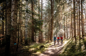Gaggia meadows - Scudelle water - viewpoint | © APT Dolomiti di Brenta e Paganella