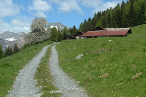 Malga Staboletto | © TRACCIAtour srl
