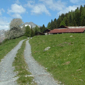 Malga Staboletto | © TRACCIAtour srl