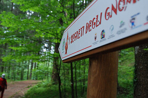 Sentiero degli Gnomi | © APT Valsugana e Lagorai