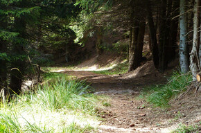 seniero per il Monte Salubio | © APT Valsugana e Lagorai