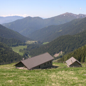 Malga Conseria and the Val Campelle | © APT Valsugana e Lagorai