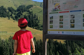 Theme trail - Footpath i mille volti del bosco | © Community