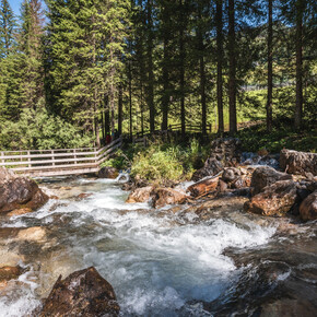 Ega te cuna - Penìa di Canazei ©APT Val di Fassa Archive | © APT Val di Fassa