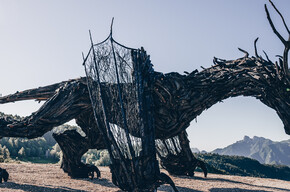 Dragon Path - Drago Vaia Regeneration - Departure from Frazione Bertoldi | © Azienda per il Turismo Alpe Cimbra