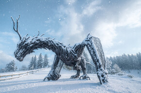 Weg des Drachen - Drago Vaia Regeneration - Abfahrt von Frazione Bertoldi | © Azienda per il Turismo Alpe Cimbra