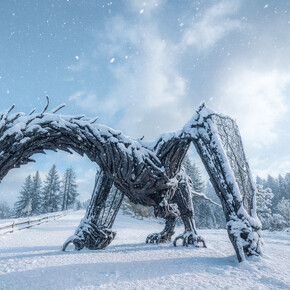 Dragon Path - Drago Vaia Regeneration - Departure from Frazione... | © Azienda per il Turismo Alpe Cimbra