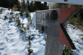 Winterwanderung zum Monte Cogne | © APT Trento 