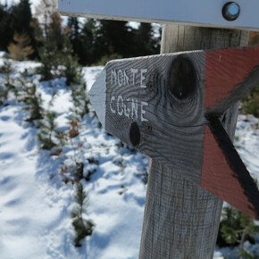 Winter trekking to Monte Cogne | © APT Trento 