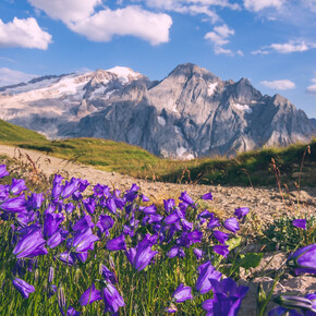 Canazei - Viel dal Pan ©Archivio APT Val di Fassa | © APT Val di Fassa