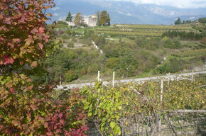 towards Monte Ghello | © APT Rovereto Vallagarina Monte Baldo