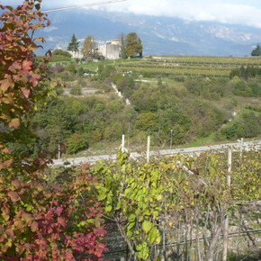 Richtung Monte Ghello | © APT Rovereto Vallagarina Monte Baldo