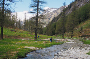 Der Rio Danerba | © Madonna di Campiglio Azienda per il Turismo 