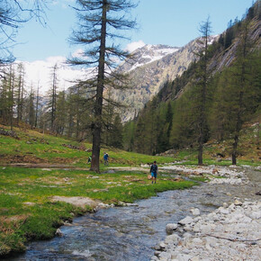 The Danerba Stream | © Madonna di Campiglio Azienda per il Turismo 