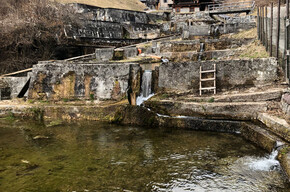 The ponds of the old fish farming | © APT Madonna di Campiglio, Pinzolo, Val Rendena