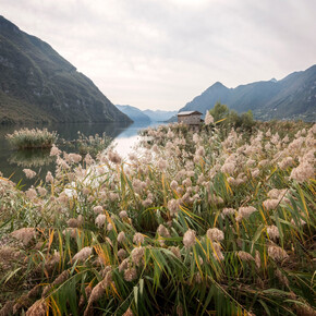 Biotope at Lake Idro, treasure of biodiversity | © APT Madonna di Campiglio, Pinzolo, Val Rendena