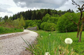 Tour 856 - Villages of Baselga di Piné | © APT Trento 