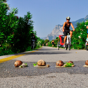 Mit Kindern auf dem Radweg entlang des Flusses Sarca fahren | © Garda Trentino