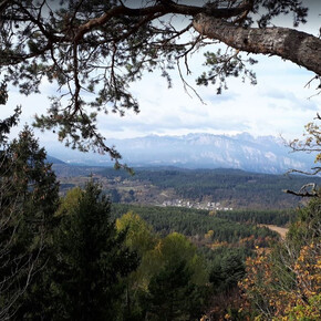 Walk to the panoramic viewpoint of Dos de La Mot - from loc. Poggio... | © APT Trento 