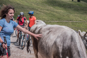 Vom Passo del Redebus zur Malga Stramaiolo | © APT Trento 