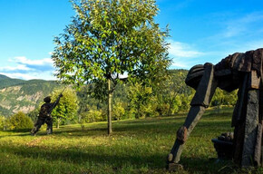 From Museo Casa Porfido to the Fauna Park and the quarries of Albiano | © APT Fiemme Cembra