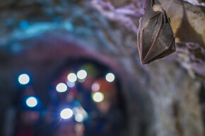 In the tunnels before Cima Rocca | © Garda Trentino 