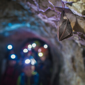 In the tunnels before Cima Rocca | © Garda Trentino 