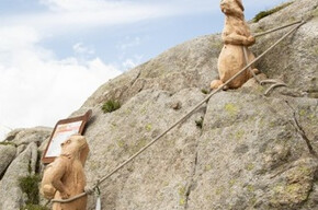 The marmots of Cima d'Asta | © APT Valsugana e Lagorai