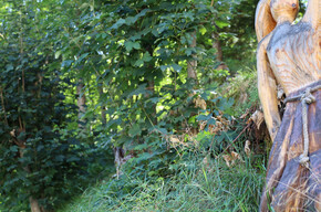 Fantasie in den Wäldern | © APT Rovereto Vallagarina Monte Baldo