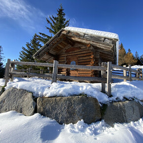Loop between the Tillhittl hut and Lake Tret | © APT Val di Non 