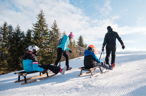Rodelpiste Bambi | © APT Dolomiti di Brenta e Paganella
