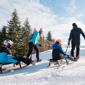 Rodelpiste Bambi | © APT Dolomiti di Brenta e Paganella