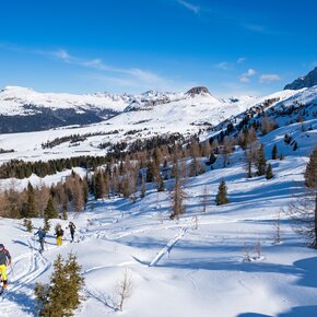 Malga Rolle - Cavallazza – Tognazza | © APT San Martino di Castrozza, Primiero e Vanoi