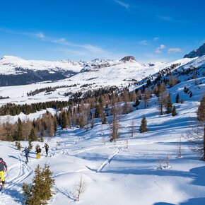 Malga Rolle - Cavallazza - Tognazza | © APT San Martino di Castrozza, Primiero e Vanoi