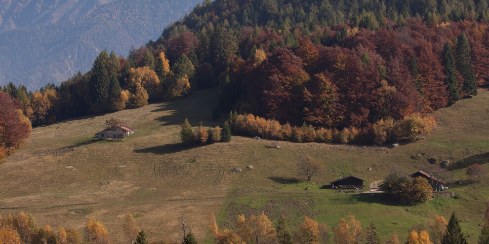 Das Hochplateau von Boniprati im Herbst | © Madonna di Campiglio Azienda per il Turismo 